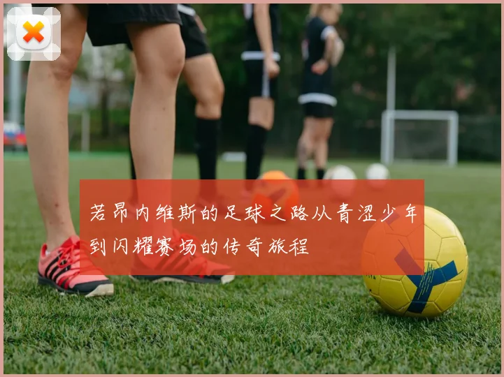 若昂内维斯的足球之路从青涩少年到闪耀赛场的传奇旅程